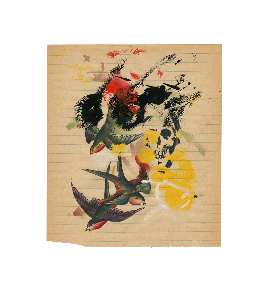 Shot Bird's Falling