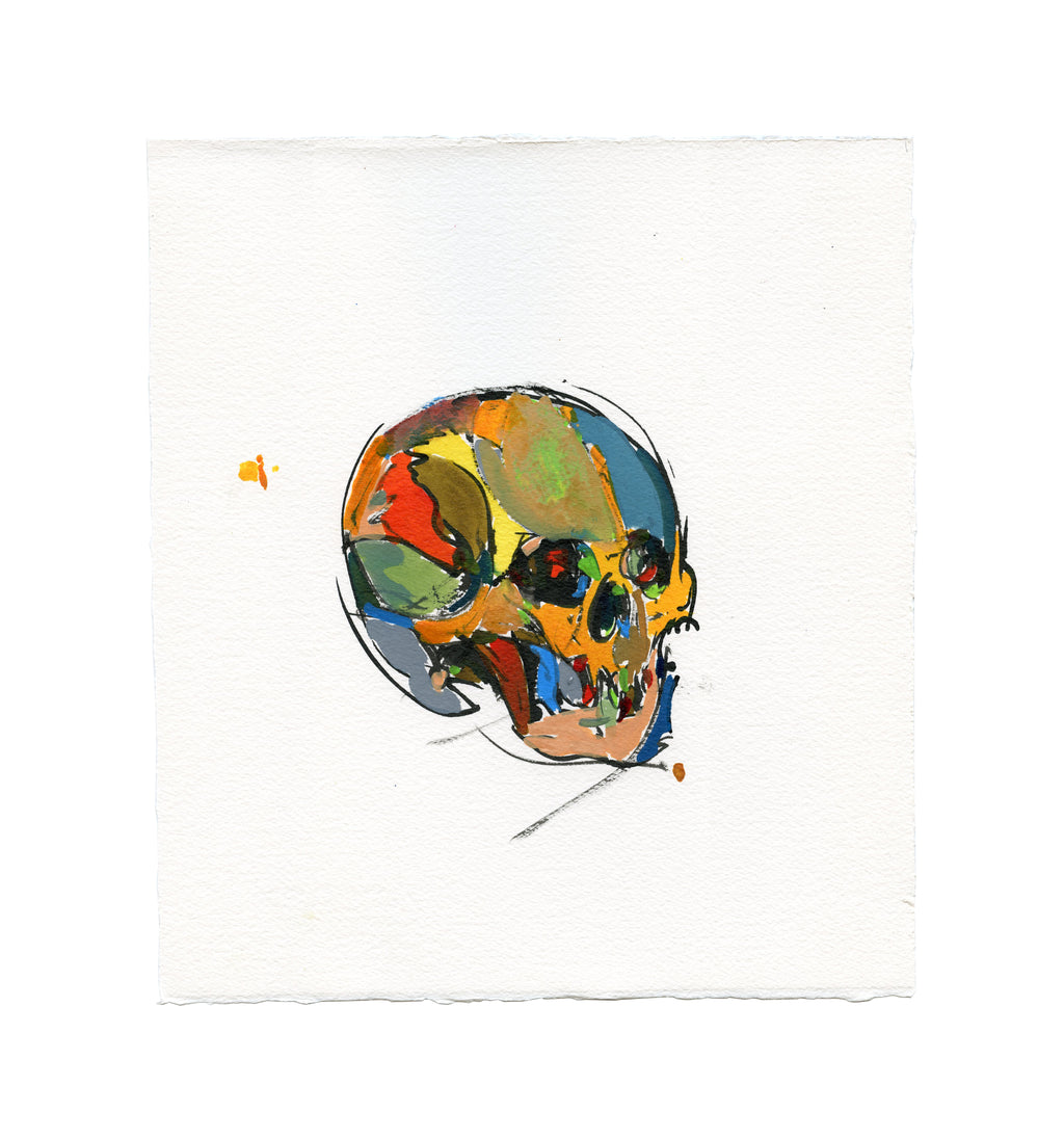 Skull Study