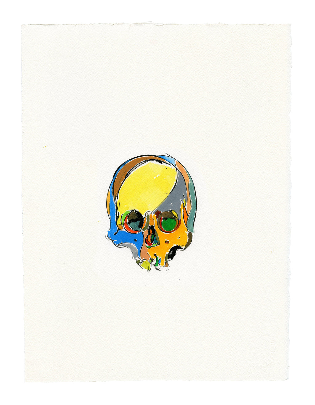 Skull Study