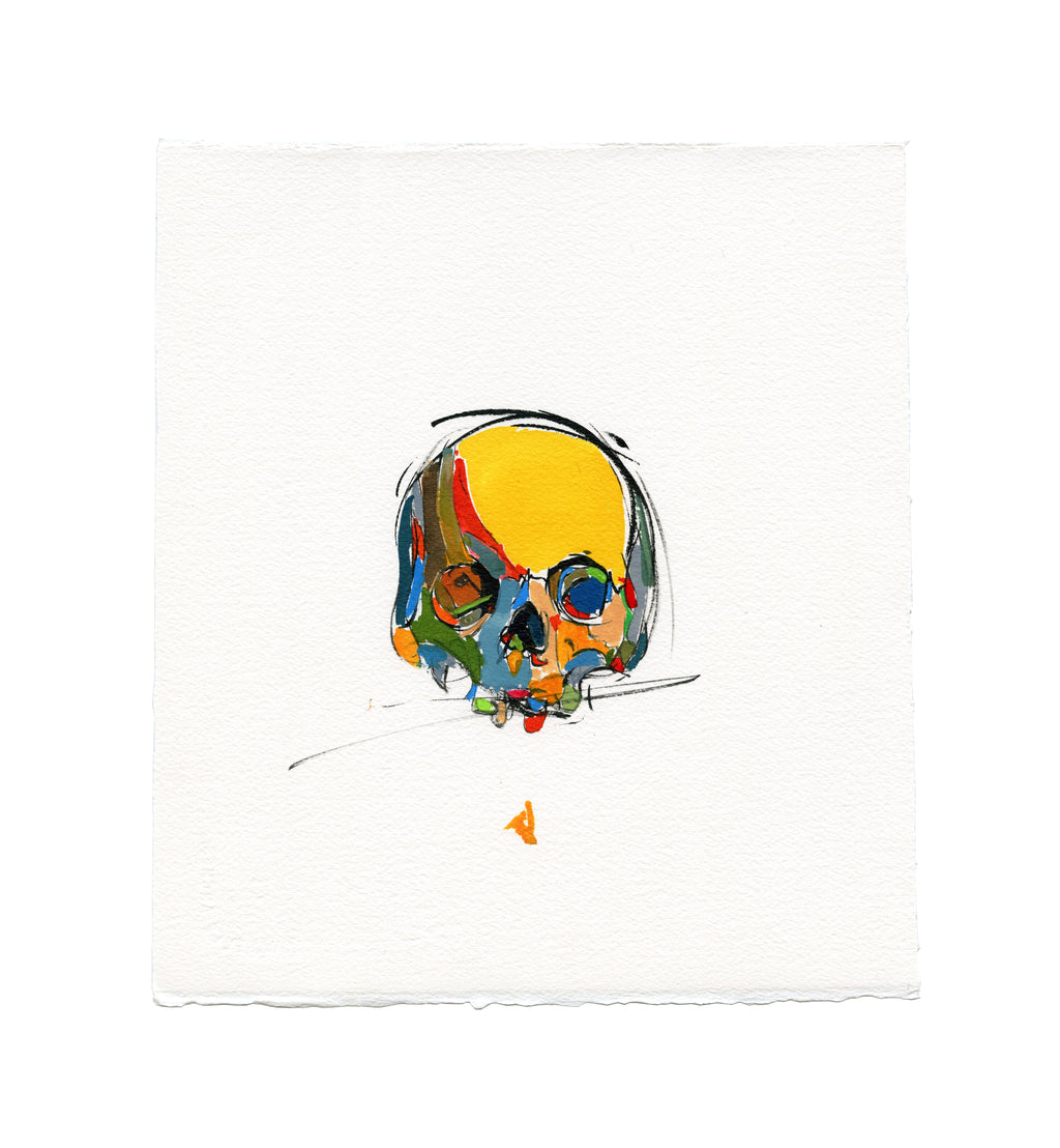 Skull Study