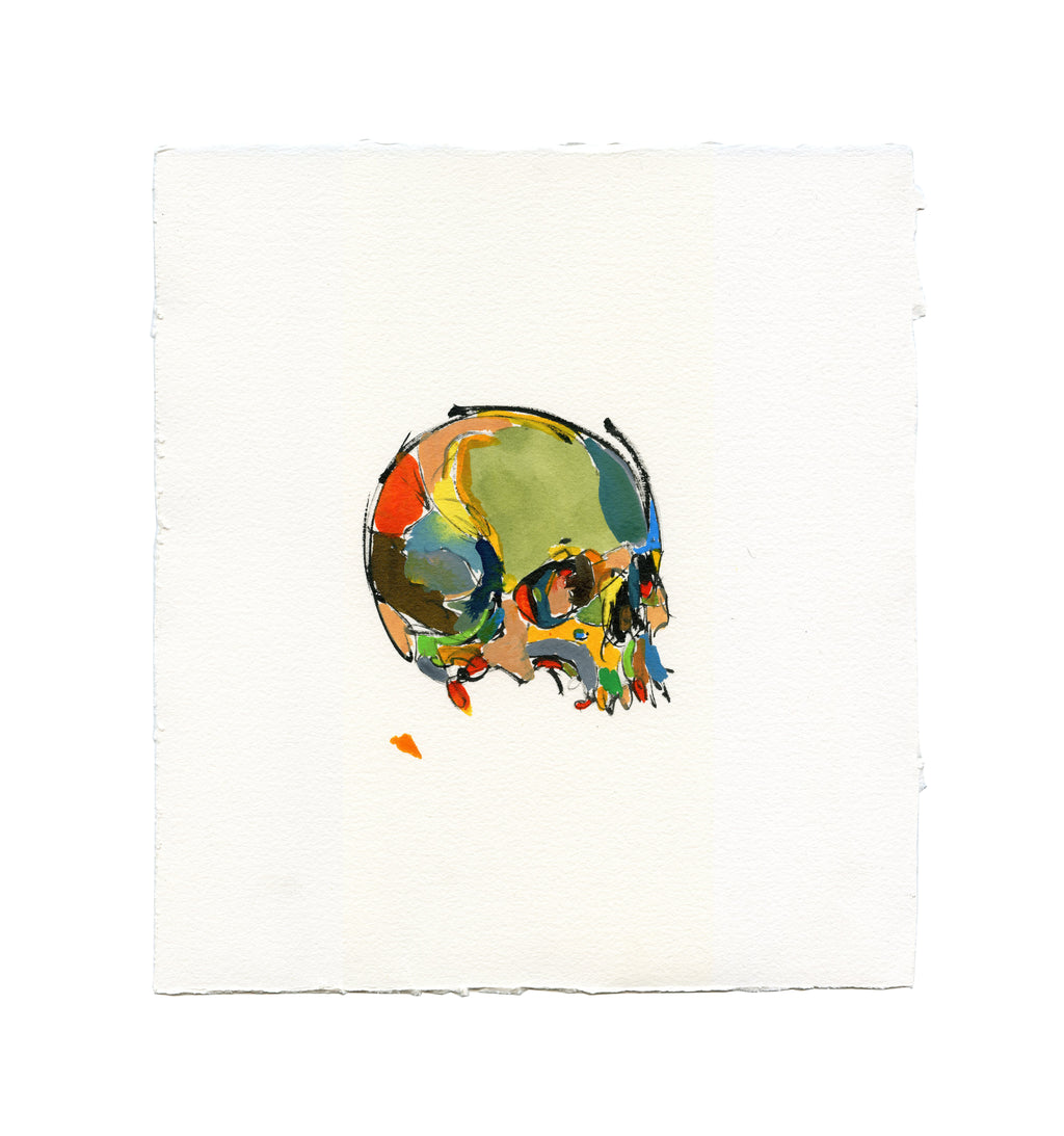 Skull Study