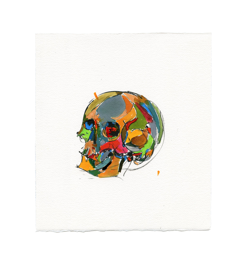 Skull Study