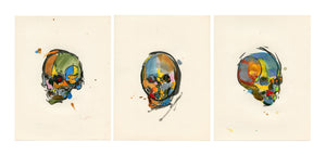 Skull Study Triptych