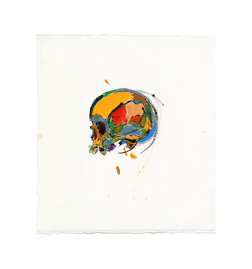Skull Study